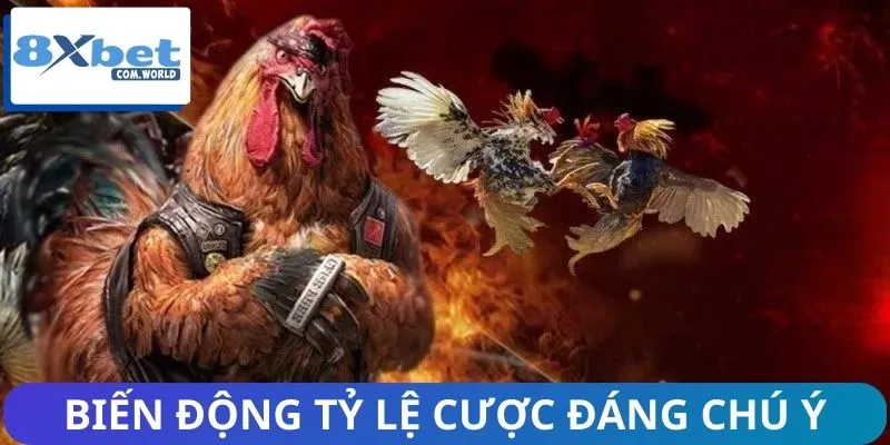 Tin Nổi Bật Nhất Về Đá Gà 8XBET – Cập Nhật Kèo Hot Mỗi Ngày 3 Cập nhật tin nổi bật nhất về đá gà với biến động tỷ lệ cược